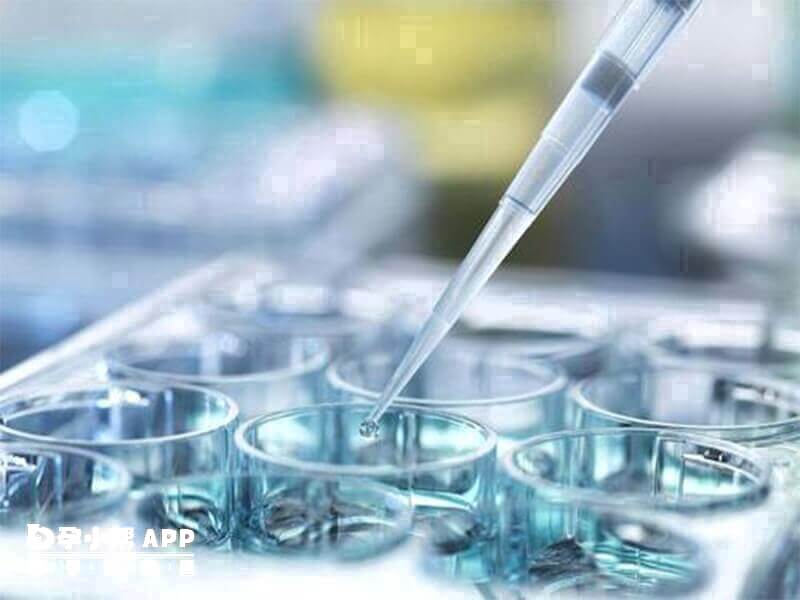 取卵、移植手術價格