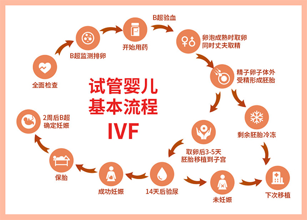 美国做试管婴儿详细流程步骤