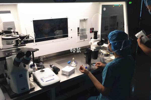試管嬰兒的壽命不會更短