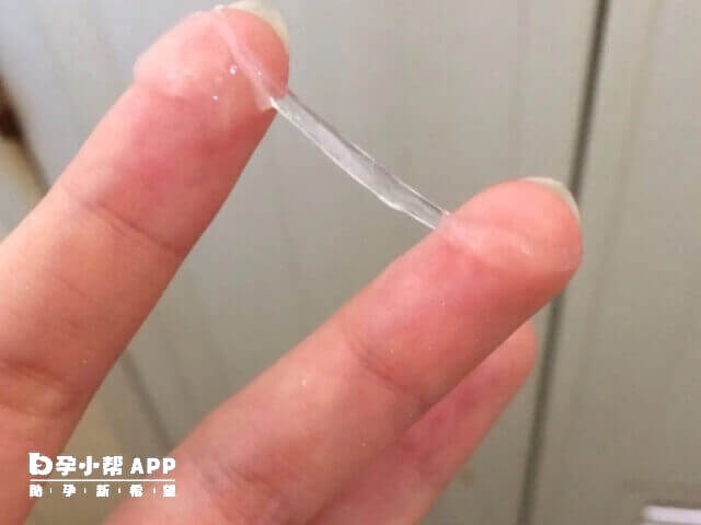 正常排卵期分泌物状态