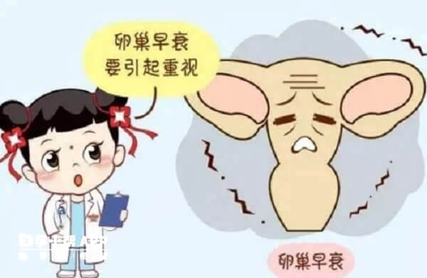 卵巢早衰引起卵泡萎縮