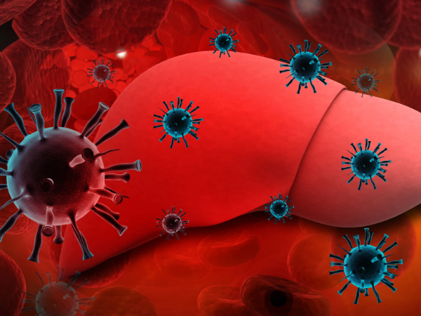 做試管不能隱瞞乙肝