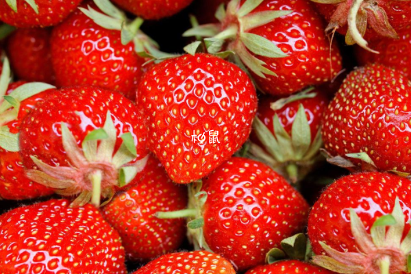 补充叶酸可以吃草莓