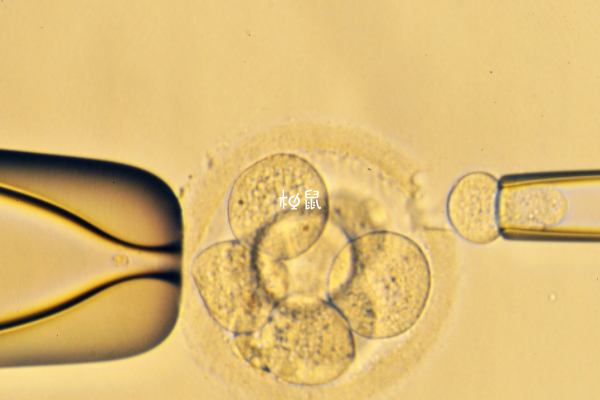 不孕不育做试管一般是有用的