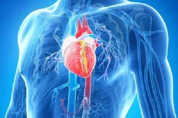 輔酶Q10能改善心臟功能
