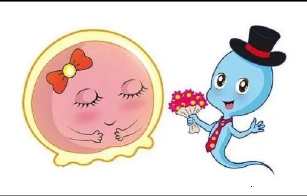 卵泡成熟後萎縮