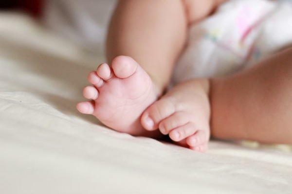 山東失獨再生育新政策