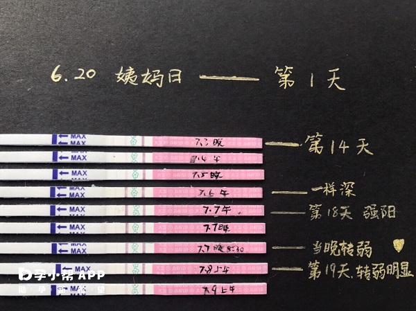 快排卵時基礎體溫會變化