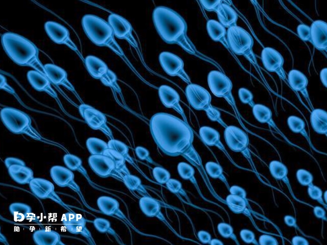 捐精在國內是合法行為