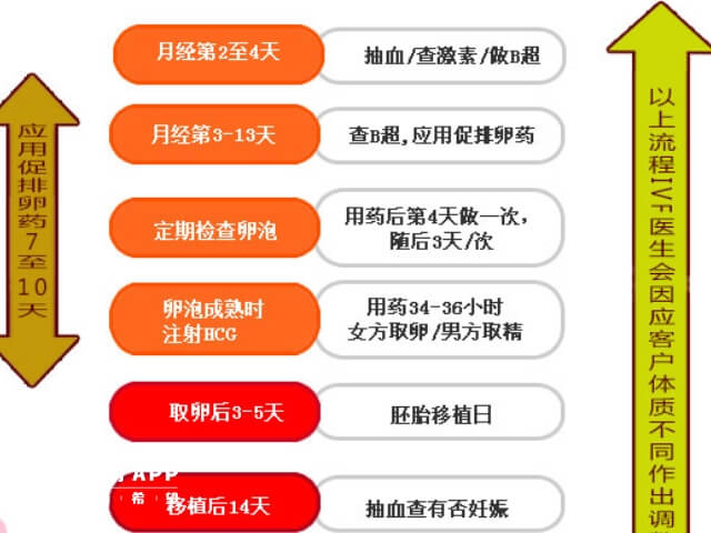 上海長海醫院三代試管嬰兒流程