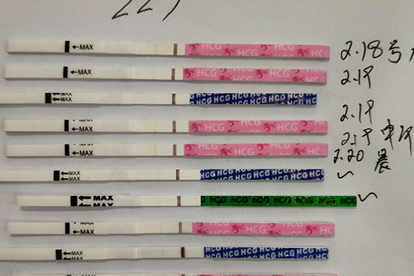 驗孕試紙測試結果