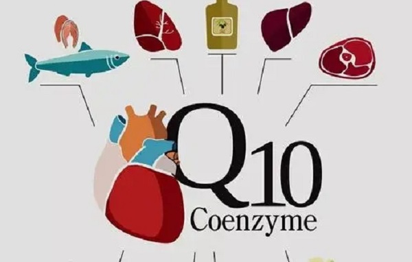 人体可通过食物获取辅酶Q10