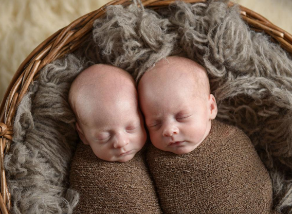 同卵双胞胎会长得一样