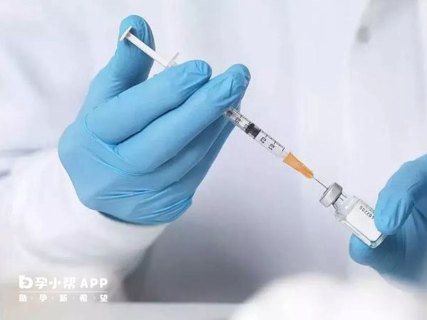 降調可防止卵泡自排