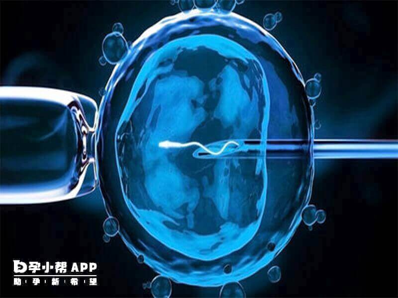 服用肌醇可提高試管嬰兒成功率