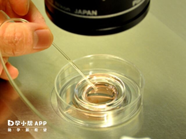 試管受精卵需培養3-5天成為胚胎