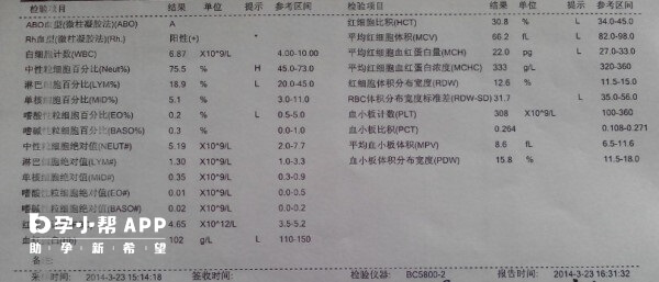 地贫检查报告