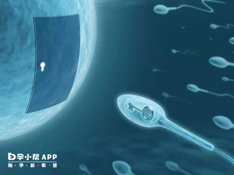 美國試管嬰兒移植成功的徵兆