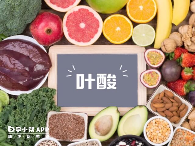 葉酸的作用