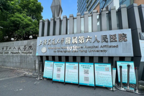 上海六院冷凍胚胎費用約8000元