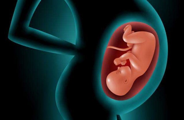 孕期补充dha可促进胎儿脑部发育