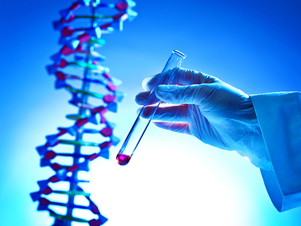 美諾孕可用於試管嬰兒助孕過程中