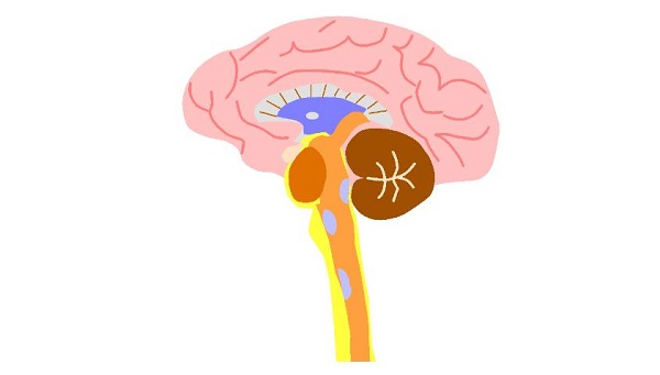 使用替硝唑片发生中枢神经不良反应要停药