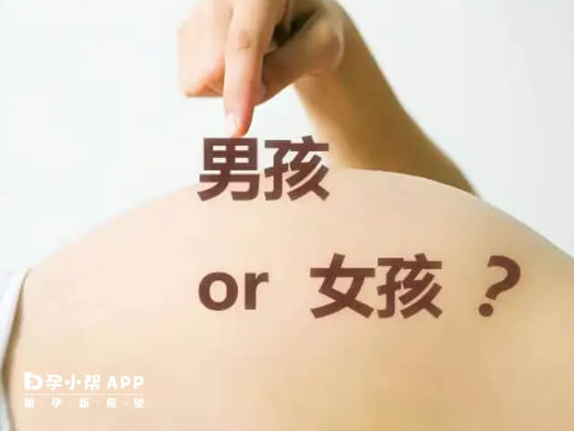 孕期檢視胎兒是男是女的方法