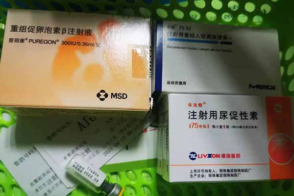 重組促卵泡素β注射液