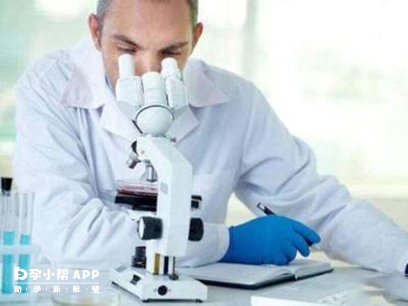 卵泡液有AREG在表達