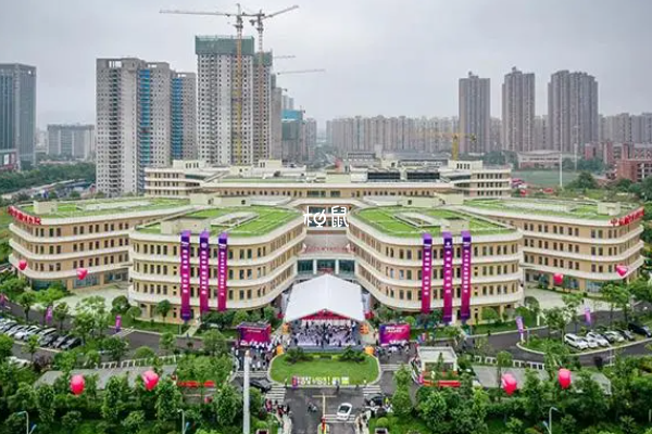 中信湘雅做試管有的人能順利懷上雙胞胎