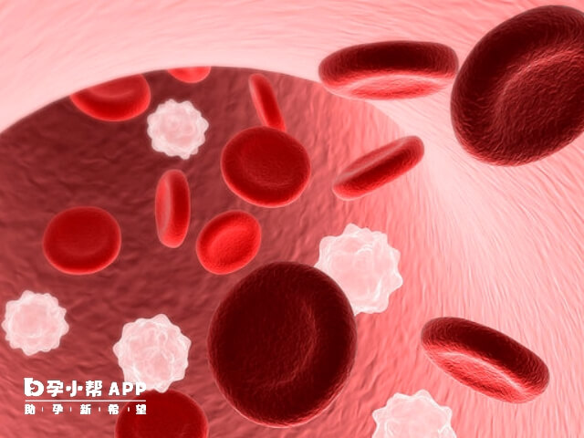 b型血红细胞表面有B型抗原