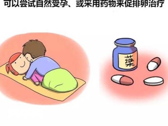 促排卵藥輔助治療