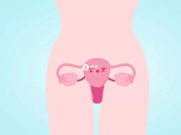 輸卵管都切除的患者可以做體外受精