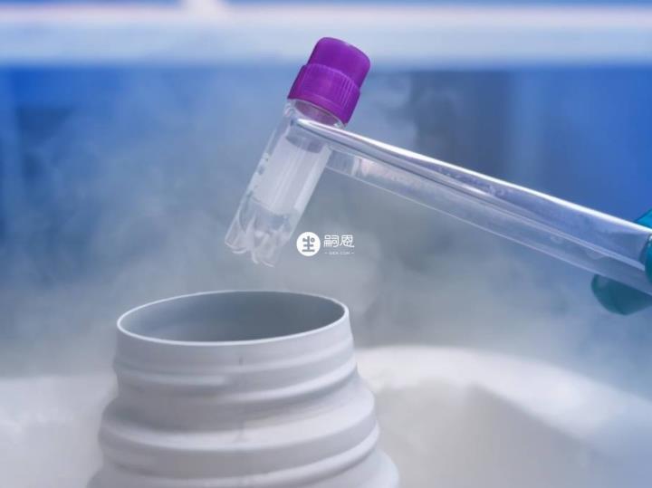 胚胎冷凍儲存