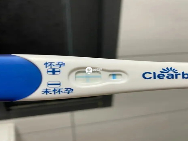 可丽蓝是一个测试是否怀孕的工具