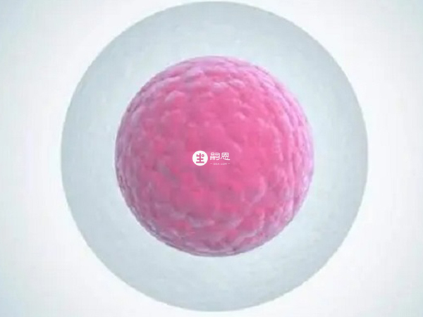 普丽康的作用包括促进卵泡发育