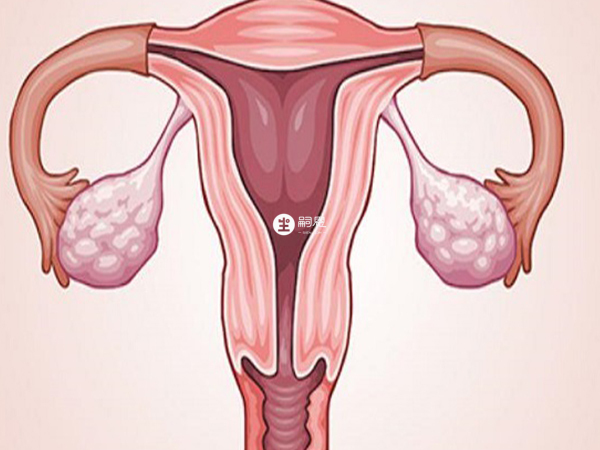 克罗米芬会刺激女性卵巢
