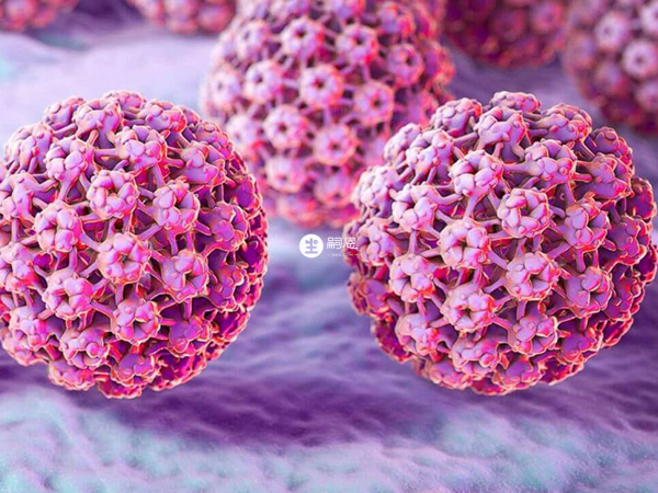 HPV即人乳头瘤病毒的简称