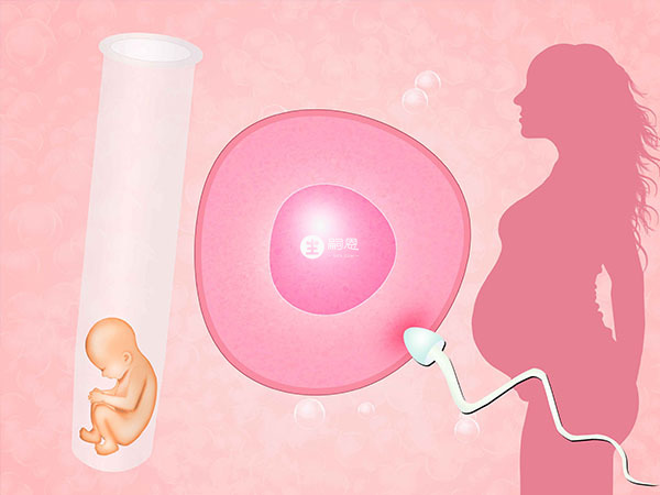 培卵素能够提高试管婴儿的成功率