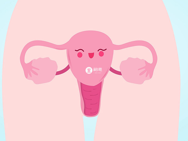 巢倍滋可作为试管婴儿助孕前的卵巢调养辅助药物