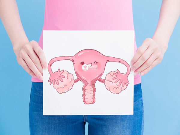DHEA能改善女性卵巢功能