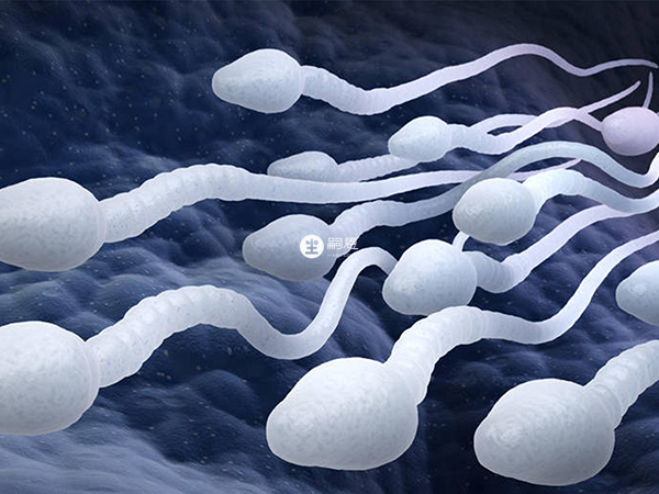 精子是判断男性生育能力的指标