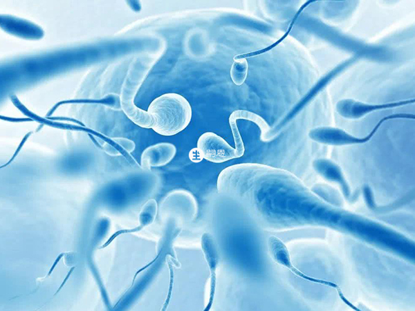 死精症指的是男性的精子成活率降低