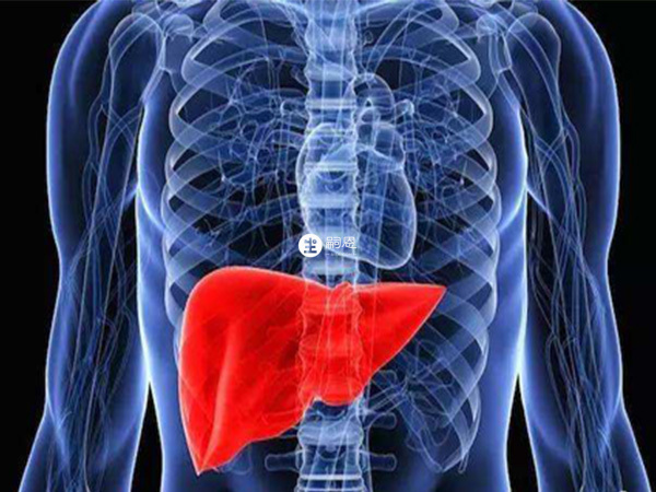 新赛斯平可预防肝脏移植后的排斥反应