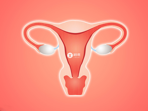 子宫畸形诊断等都可以通过输卵管造影来了解详情