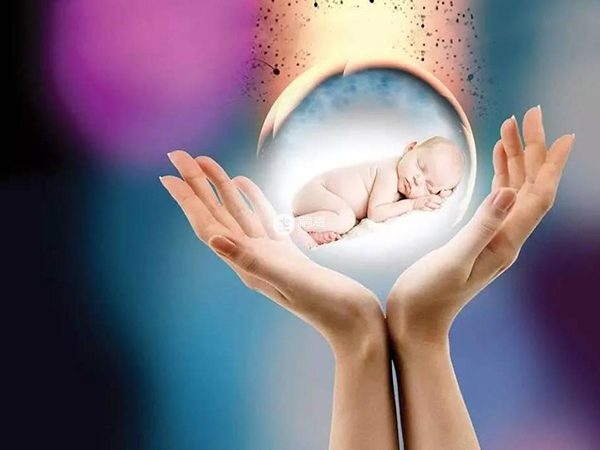 纷乐能提高胚胎着床、预防胎儿畸形