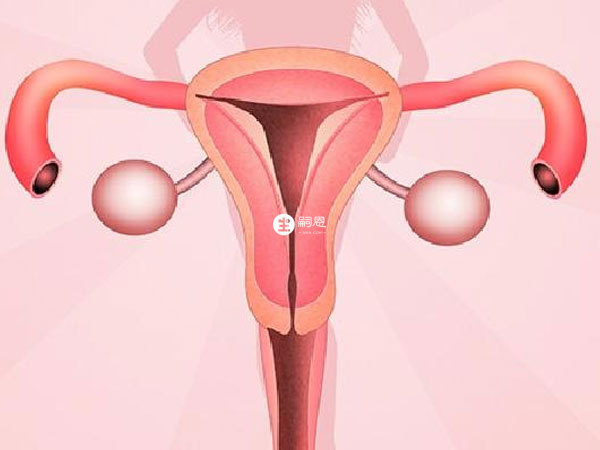 卵巢排卵是左右兩側交替進行