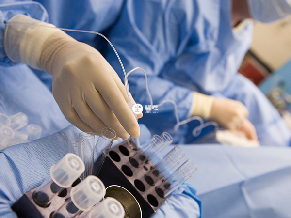 囊胚移植可以提高患者的着床率和妊娠率