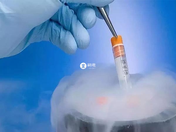 胚胎移植的时间取决于宫腔镜检查的结果
